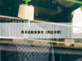 苏卡达能长多大（苏达卡吧）