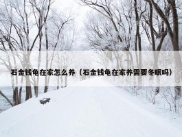 石金钱龟在家怎么养（石金钱龟在家养需要冬眠吗）