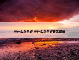 养什么乌龟好 养什么乌龟好看又保值