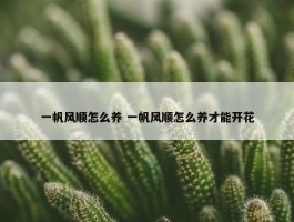 一帆风顺怎么养 一帆风顺怎么养才能开花