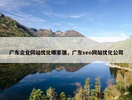 广东企业网站优化哪家强，广东seo网站优化公司