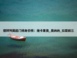 德转列英超门将身价榜：维卡里奥_奥纳纳_拉亚前三