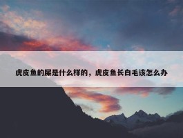 虎皮鱼的屎是什么样的，虎皮鱼长白毛该怎么办