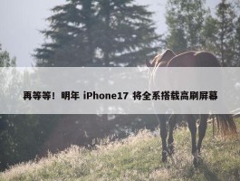 再等等！明年 iPhone17 将全系搭载高刷屏幕