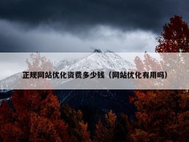 正规网站优化资费多少钱（网站优化有用吗）