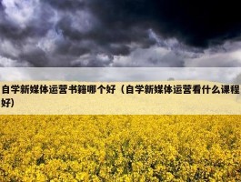 自学新媒体运营书籍哪个好（自学新媒体运营看什么课程好）