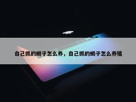 自己抓的蝎子怎么养，自己抓的蝎子怎么养殖