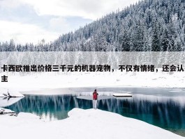 卡西欧推出价格三千元的机器宠物，不仅有情绪，还会认主