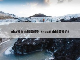 nba签自由球员规则（nba自由球员签约）