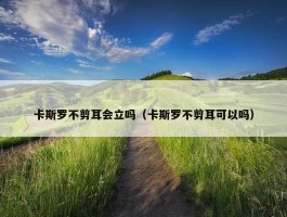 卡斯罗不剪耳会立吗（卡斯罗不剪耳可以吗）