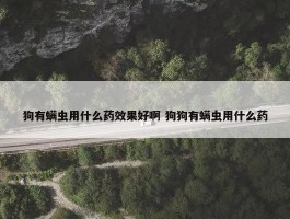 狗有螨虫用什么药效果好啊 狗狗有螨虫用什么药