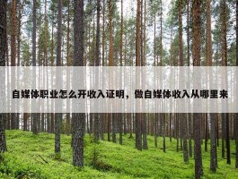 自媒体职业怎么开收入证明，做自媒体收入从哪里来