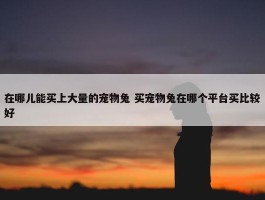 在哪儿能买上大量的宠物兔 买宠物兔在哪个平台买比较好