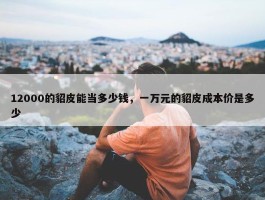 12000的貂皮能当多少钱，一万元的貂皮成本价是多少