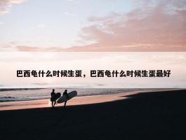 巴西龟什么时候生蛋，巴西龟什么时候生蛋最好