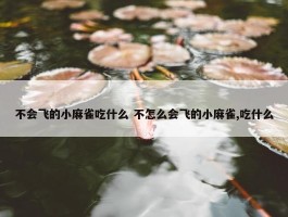 不会飞的小麻雀吃什么 不怎么会飞的小麻雀,吃什么