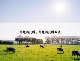 乌龟有几种，乌龟有几种叫法