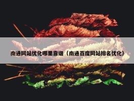 南通网站优化哪里靠谱（南通百度网站排名优化）