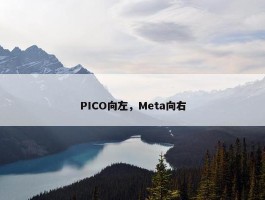 PICO向左，Meta向右