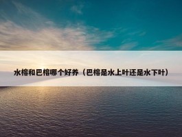 水榕和巴榕哪个好养（巴榕是水上叶还是水下叶）