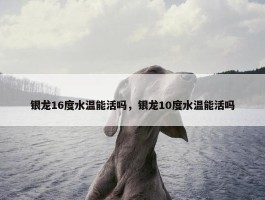 银龙16度水温能活吗，银龙10度水温能活吗