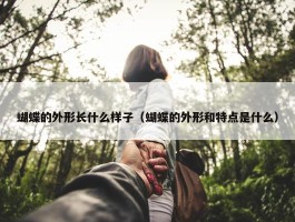 蝴蝶的外形长什么样子（蝴蝶的外形和特点是什么）