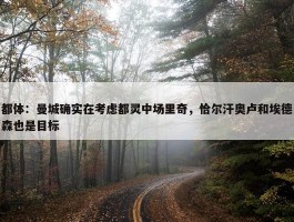 都体：曼城确实在考虑都灵中场里奇，恰尔汗奥卢和埃德森也是目标