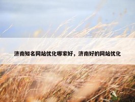 济南知名网站优化哪家好，济南好的网站优化