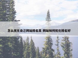 怎么优化自己网站排名高 网站如何优化排名好