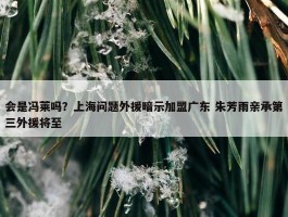 会是冯莱吗？上海问题外援暗示加盟广东 朱芳雨亲承第三外援将至