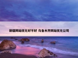 新疆网站优化好不好 乌鲁木齐网站优化公司