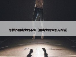 怎样养刚出生的小鱼（刚出生的鱼怎么养活）