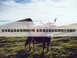 东京奥运目前奖牌排行榜 东京奥运目前奖牌排行榜图片