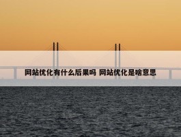 网站优化有什么后果吗 网站优化是啥意思