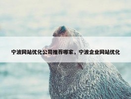 宁波网站优化公司推荐哪家，宁波企业网站优化