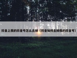 抖音上我的抖音号怎么去掉（抖音如何去掉我的抖音号）