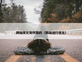 网站优化如何做的（网站进行优化）