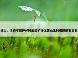 博主：沈晓宇将担任股改后的浙江职业足球俱乐部董事长