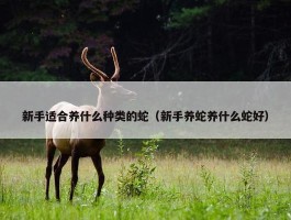 新手适合养什么种类的蛇（新手养蛇养什么蛇好）