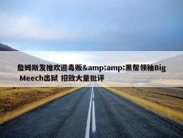 詹姆斯发推欢迎毒贩&amp;黑帮领袖Big Meech出狱 招致大量批评