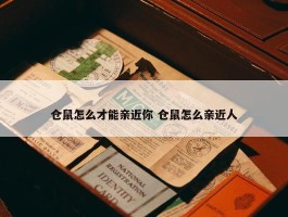 仓鼠怎么才能亲近你 仓鼠怎么亲近人