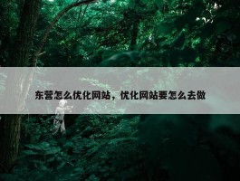 东营怎么优化网站，优化网站要怎么去做