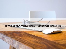 新手是如何入手网站优化的（网站怎么优化怎样）