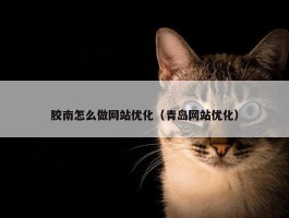 胶南怎么做网站优化（青岛网站优化）