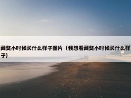 藏獒小时候长什么样子图片（我想看藏獒小时候长什么样子）