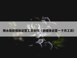 衡水做新媒体运营工资如何（新媒体运营一个月工资）