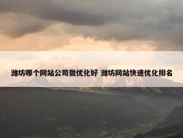 潍坊哪个网站公司做优化好 潍坊网站快速优化排名