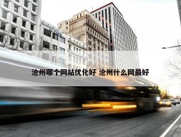 沧州哪个网站优化好 沧州什么网最好