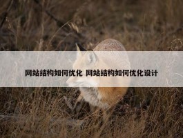 网站结构如何优化 网站结构如何优化设计