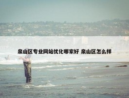 泉山区专业网站优化哪家好 泉山区怎么样